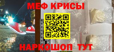 крисы Моздок