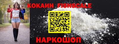 крисы Моздок