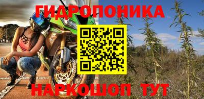 крисы Моздок