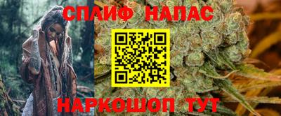 крисы Моздок