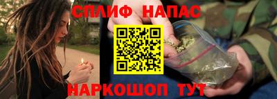 крисы Моздок