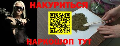 крисы Моздок