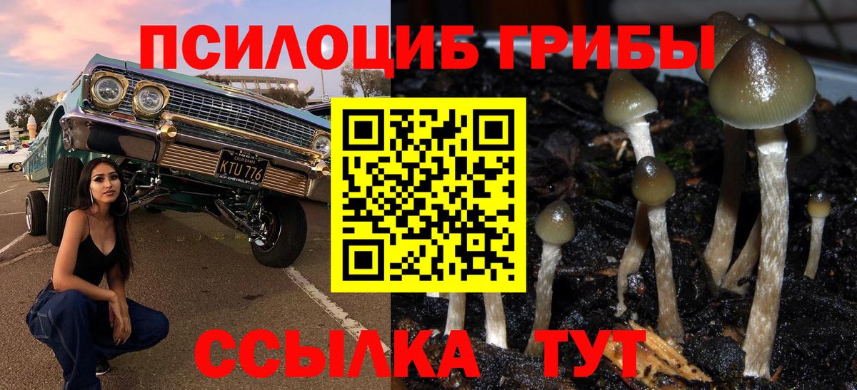 Галлюциногенные грибы мухоморы  Вход с VPN  Верхняя Пышма  Галлюциногенные грибы Cubensis 