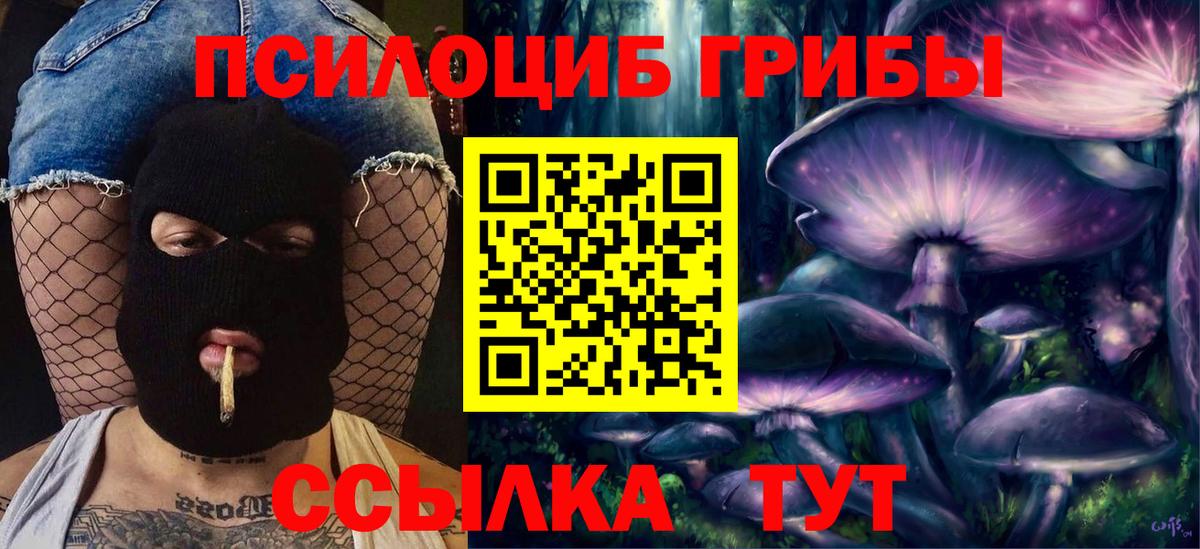 Псилоцибиновые грибы ЛСД Верхняя Пышма